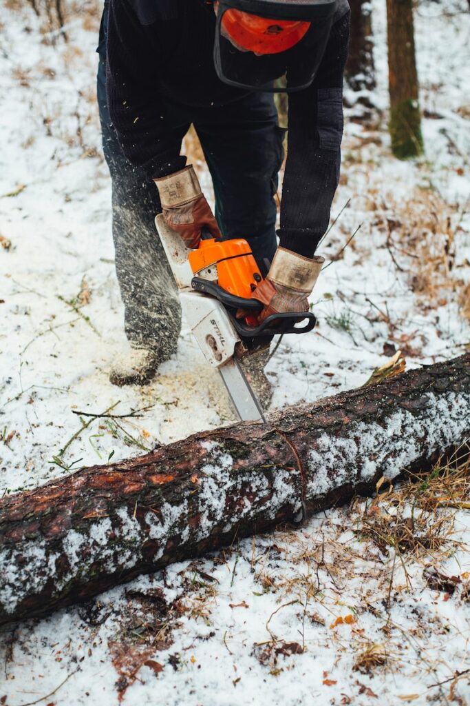 couper du bois dans les forêts belges n'est pas sans danger