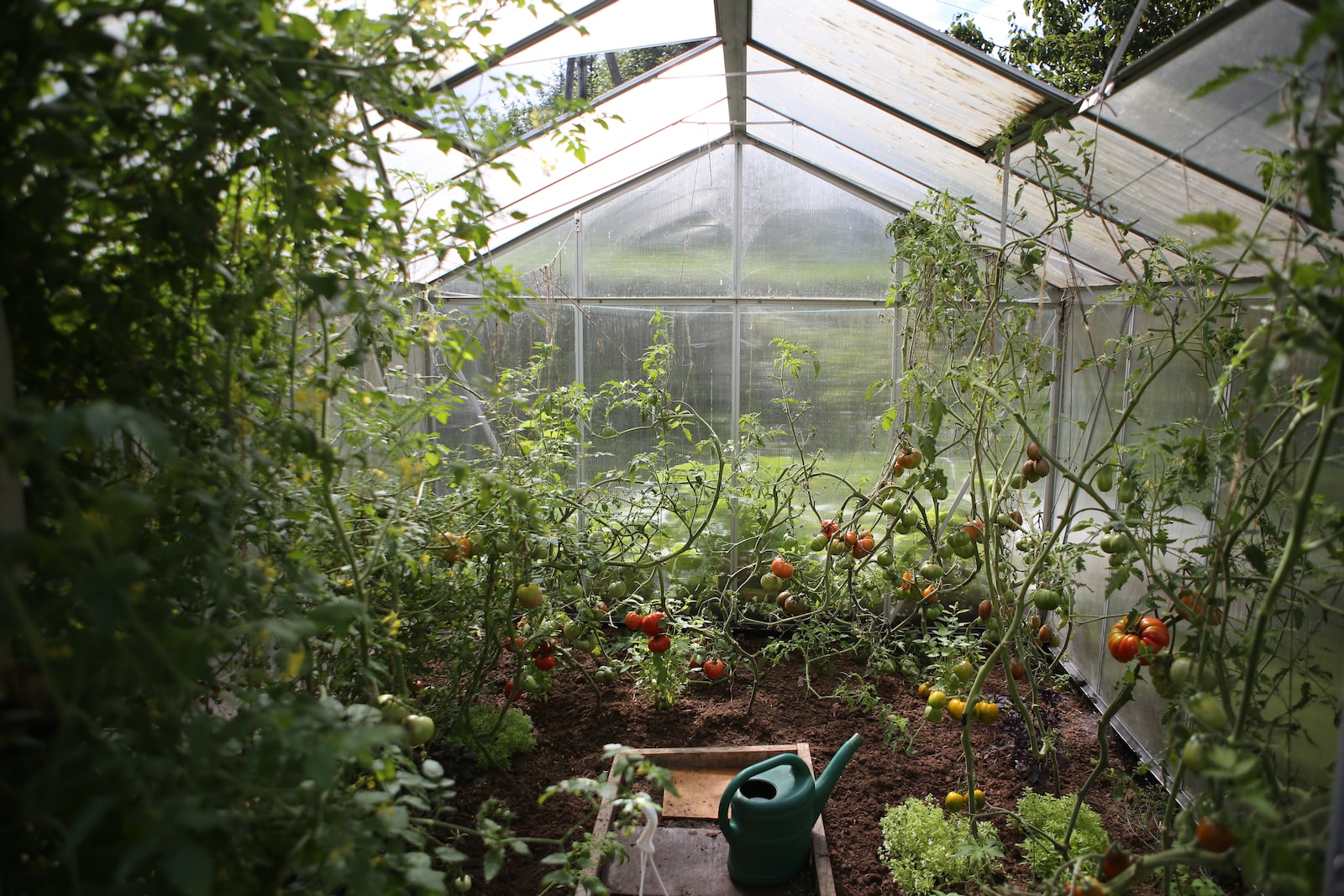 Aménager un jardin potager