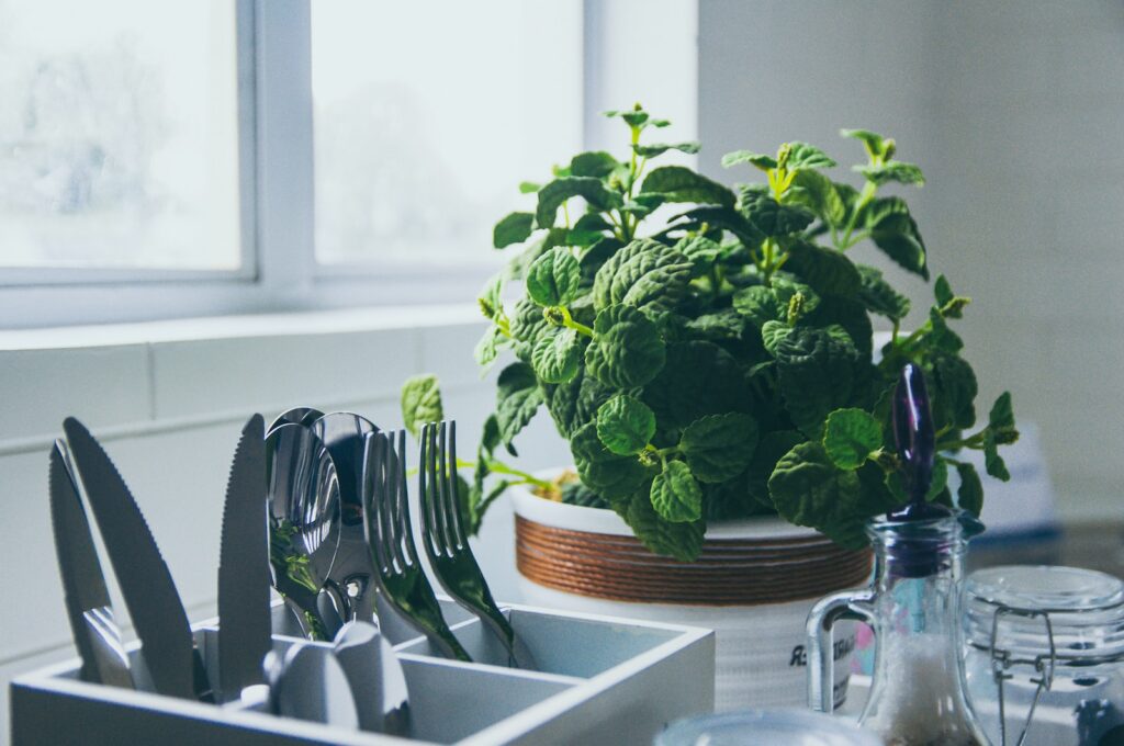 Comment décorer sa cuisine plantes