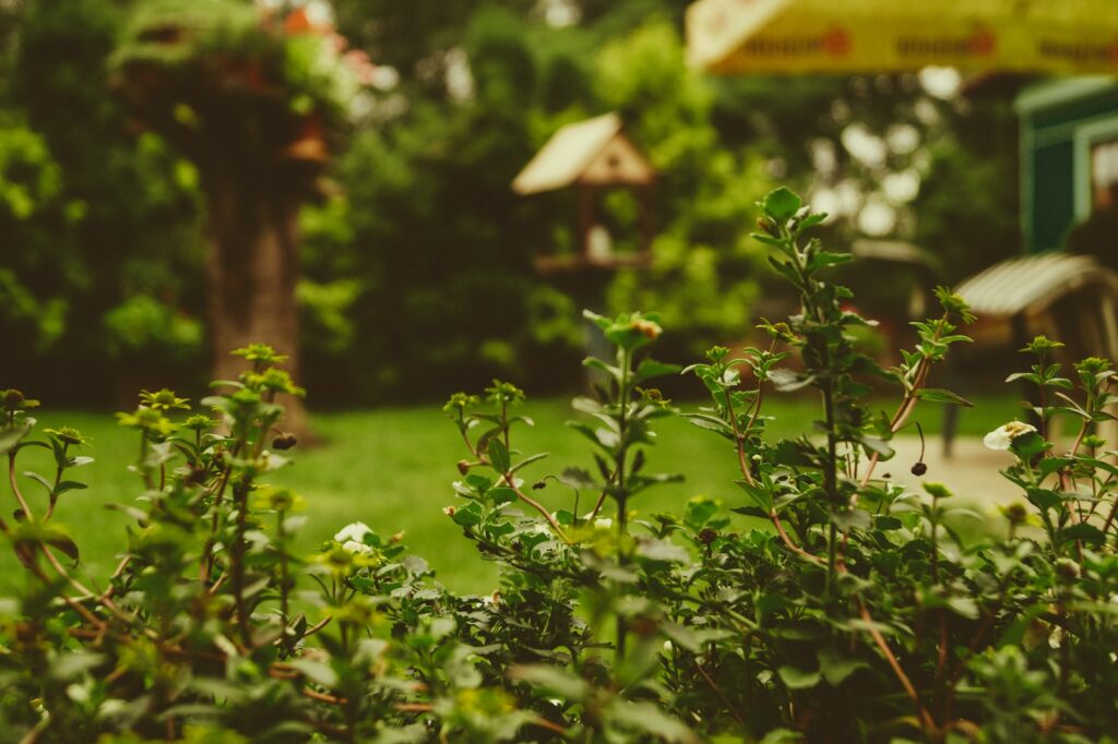 Décoration de jardin