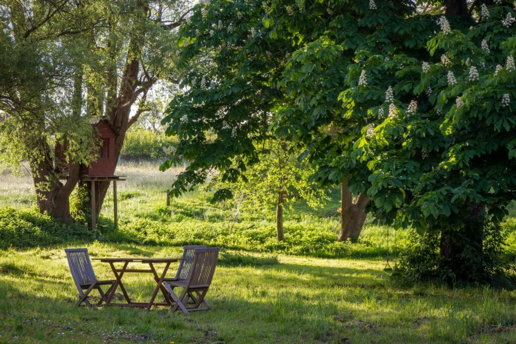 Décoration de jardin