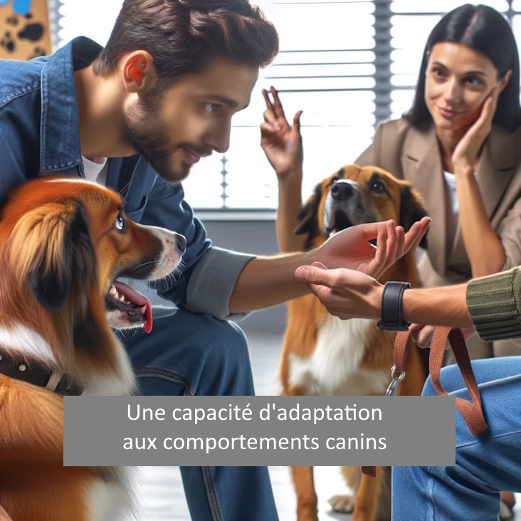 capacite adaptation comportements canins