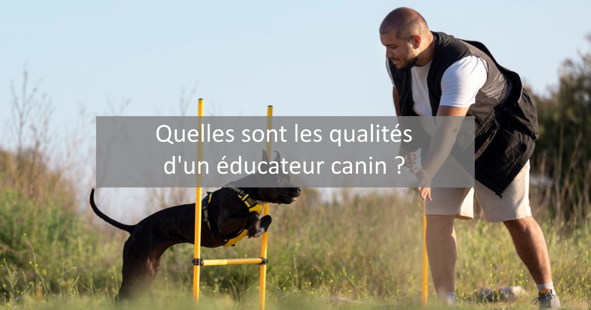 qualités éducateur canin